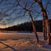 Love the Winter – A charming Beauty Love the Winter – A charming Beauty