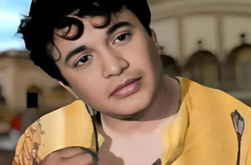 মহানায়কের শেষ দৃশ্য